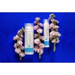 Juveniis Quintessence DermoEquilibrante Face Cream 100% natural