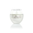 face cream intensive anti-aging treatment