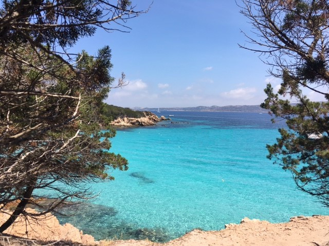 cosmetici essenze sardegna
