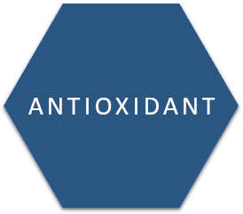 antioxidant cosmetics