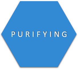 purifying cosmetics
